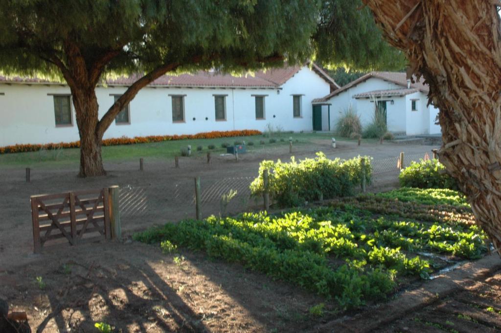 Hacienda De Molinos Hotel Екстер'єр фото